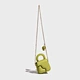 mini crossbody bag